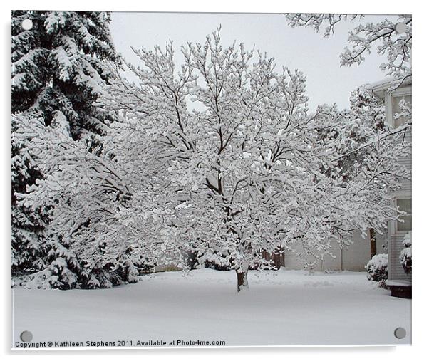 Winter Tree Acrylic by Kathleen Stephens