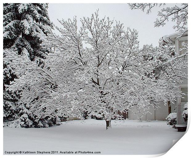 Winter Tree Print by Kathleen Stephens