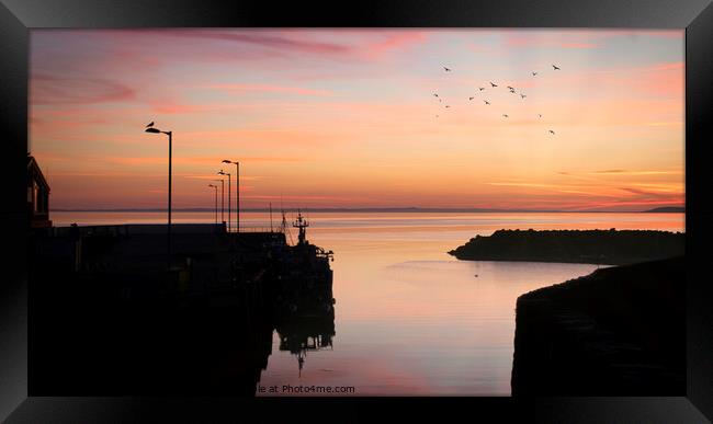 Sunset At Port William harbor Framed Print by STEVEN CALCUTT