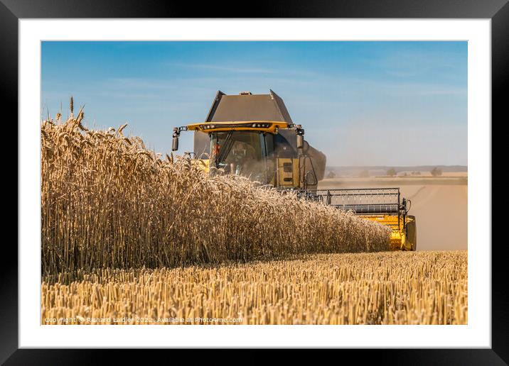 Wheat Harvest on Foxberry Aug 2022 (2) Framed Mounted Print by Richard Laidler