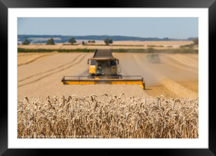 Wheat Harvest on Foxberry Aug 2022 (3) Framed Mounted Print by Richard Laidler