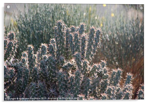 Desert Morning Acrylic by Kathleen Stephens