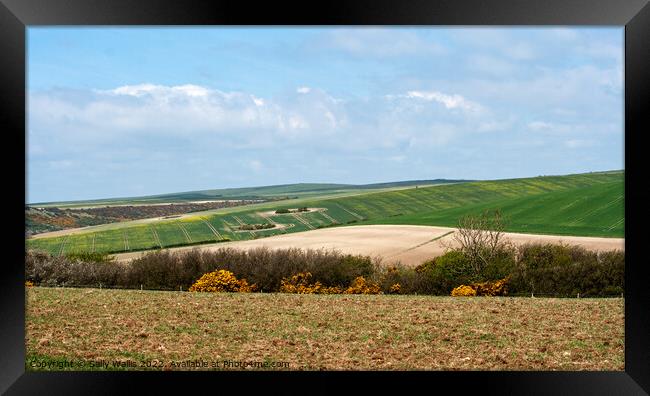 Spring crops on the South Downs Framed Print by Sally Wallis