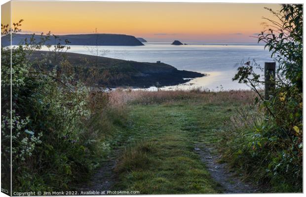 View Towards Nare Island Canvas Print by Jim Monk