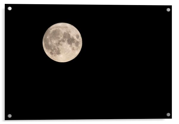 Sturgeon Moon Acrylic by Glen Allen
