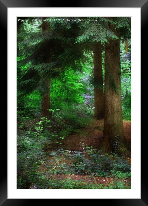 Green Solitude 2 Framed Mounted Print by Christine Lake