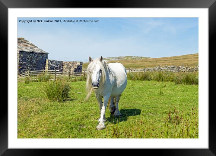 Beautiful White Horse Walking Towards Me  Framed Mounted Print by Nick Jenkins
