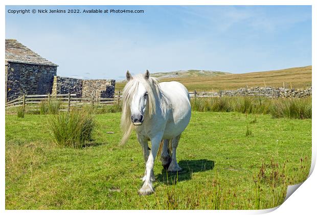Beautiful White Horse Walking Towards Me  Print by Nick Jenkins