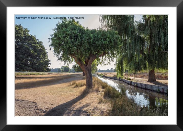 Backlit willow trees on hot sunny day Framed Mounted Print by Kevin White