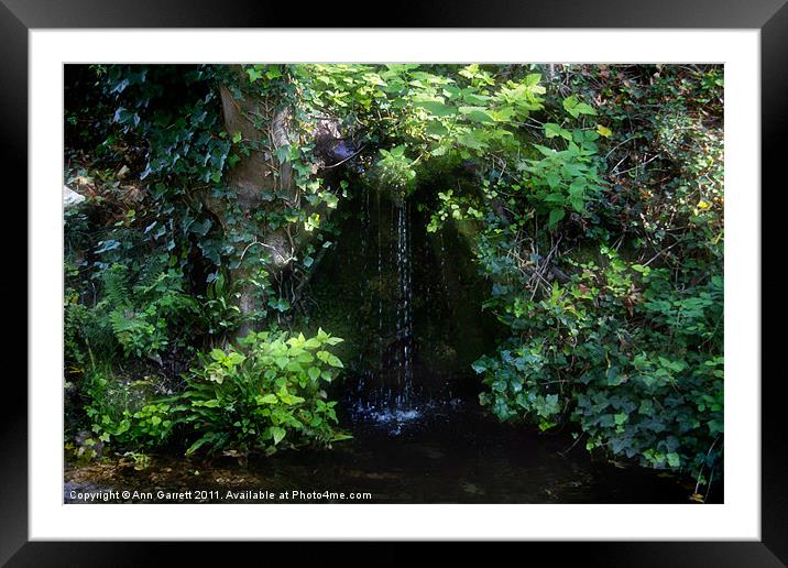 Woodland Waterfall Framed Mounted Print by Ann Garrett