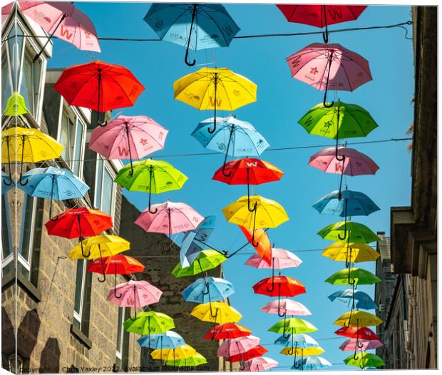 Colourful umbrellas in Aberdeen Canvas Print by Chris Yaxley