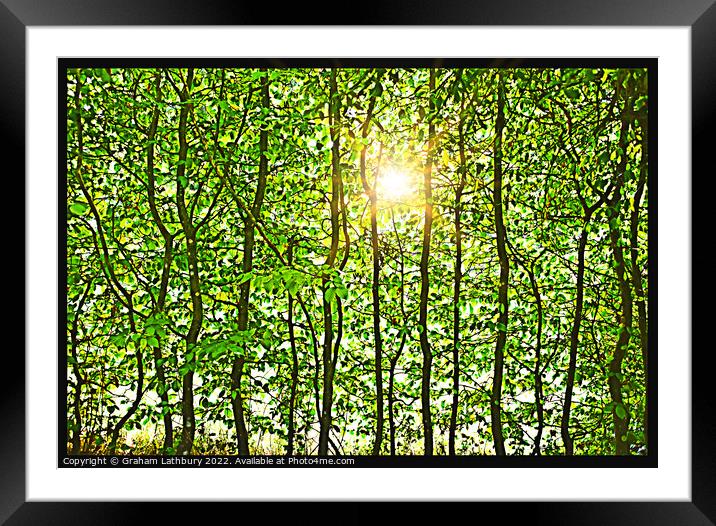 Leafy Sunshine Framed Mounted Print by Graham Lathbury