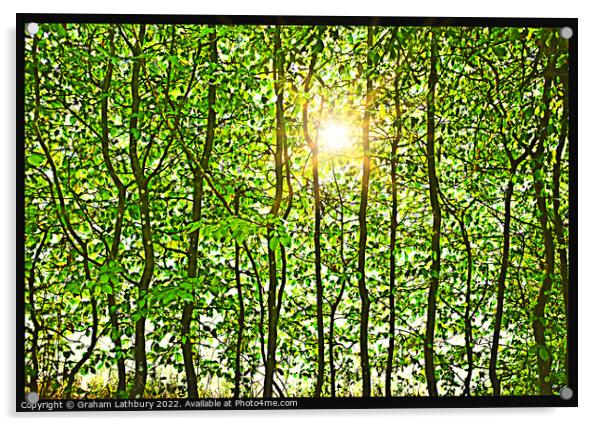 Leafy Sunshine Acrylic by Graham Lathbury