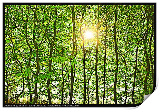 Leafy Sunshine Print by Graham Lathbury