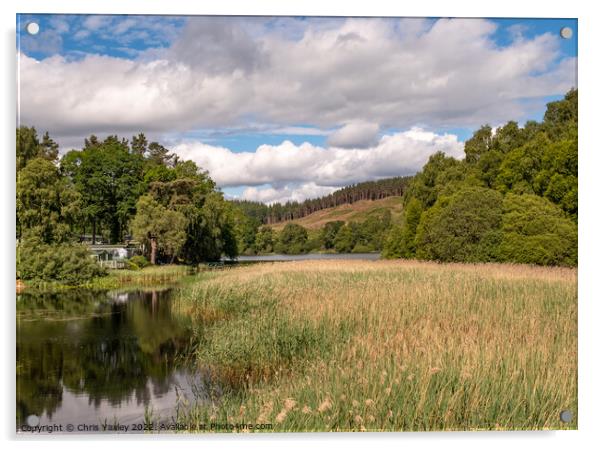 Aboyne Loch, Aberdeenshire Acrylic by Chris Yaxley
