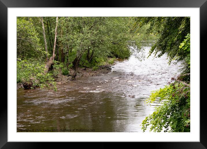 The River Braan in Dunkeld, Perthshire Framed Mounted Print by Chris Yaxley