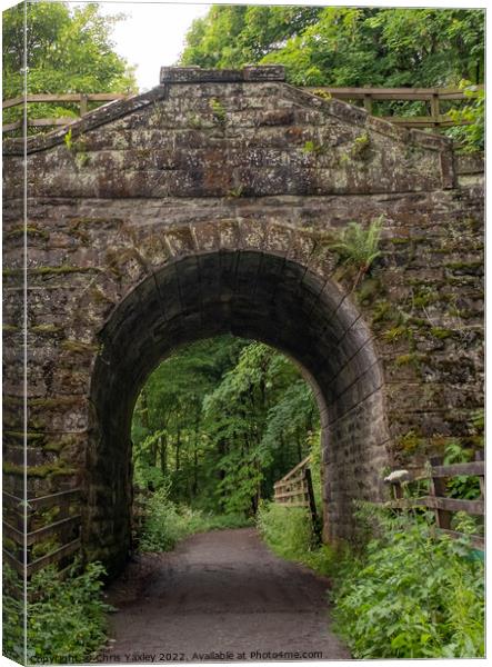 Entrance to Dunkeld hermitage and pine forest in Perthshire, Scotland Canvas Print by Chris Yaxley
