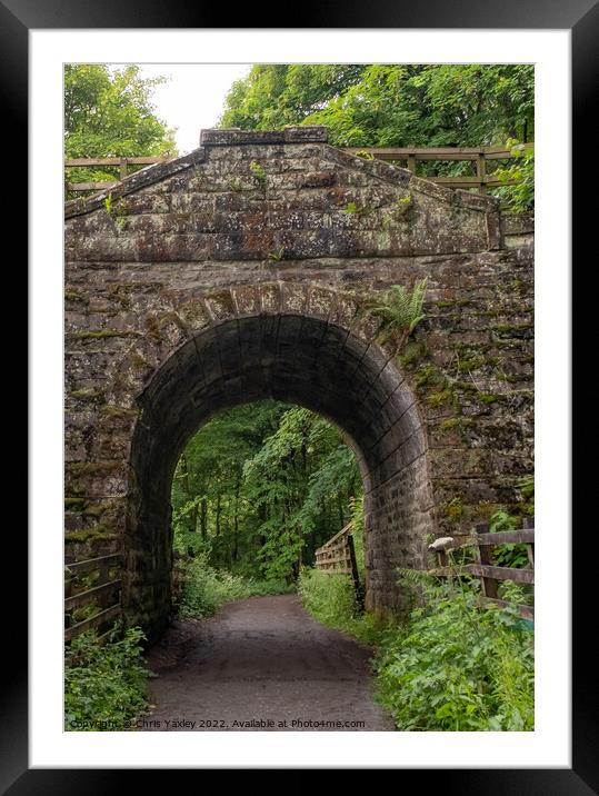 Entrance to Dunkeld hermitage and pine forest in Perthshire, Scotland Framed Mounted Print by Chris Yaxley