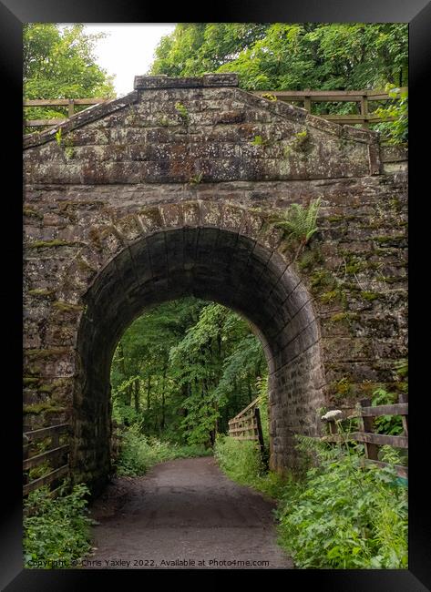 Entrance to Dunkeld hermitage and pine forest in Perthshire, Scotland Framed Print by Chris Yaxley