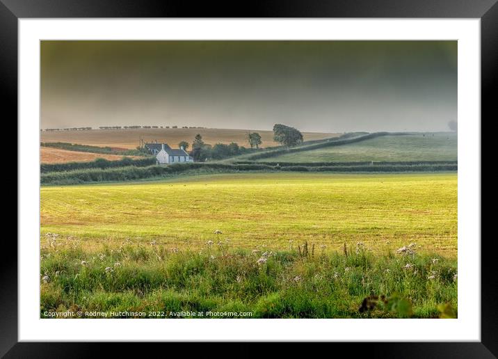 Ayrshire Countryside Framed Mounted Print by Rodney Hutchinson