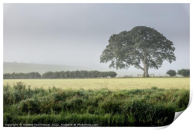 Enchanting Countryside Fog Print by Rodney Hutchinson