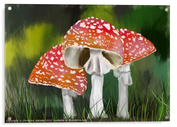 Fly Agaric Toadstools Painting Acrylic by Christine Kerioak
