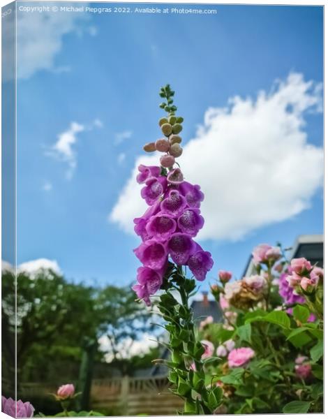 Beautiful flowers in a european garden in different colors Canvas Print by Michael Piepgras