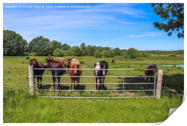 Beautiful panorama of grazing horses on a green meadow during sp Print by Michael Piepgras