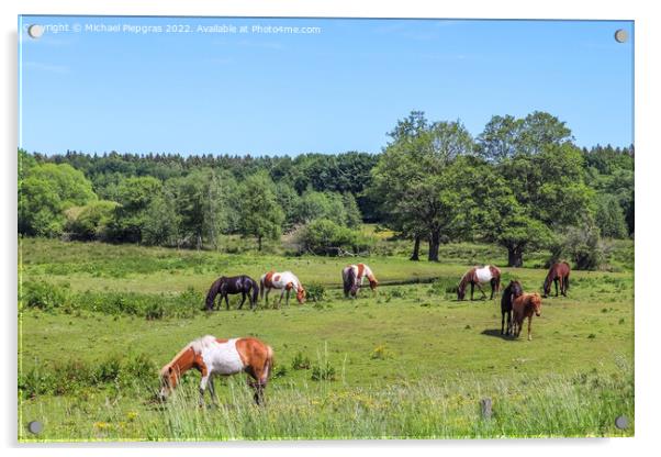 Beautiful panorama of grazing horses on a green meadow during sp Acrylic by Michael Piepgras