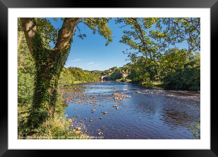 Summer Morning on the Tees at Barnard Castle, Teesdale Framed Mounted Print by Richard Laidler