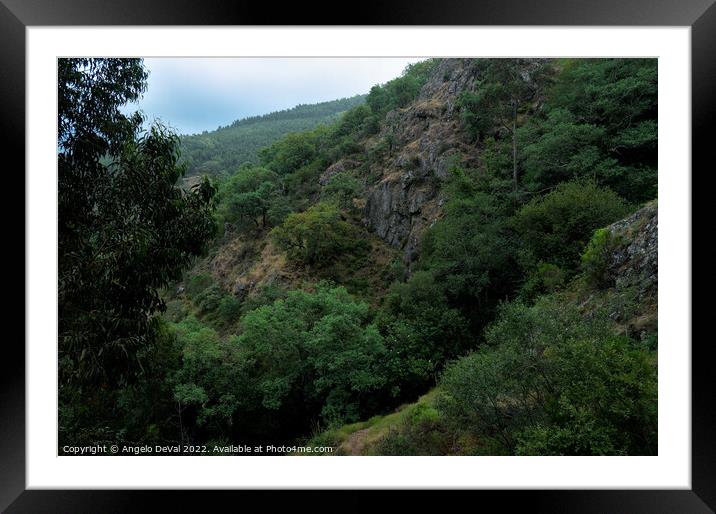 Mountain Wilderness in Monchique Framed Mounted Print by Angelo DeVal