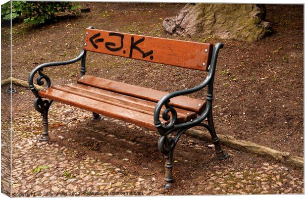 Graffiti on a park bench Canvas Print by Sally Wallis