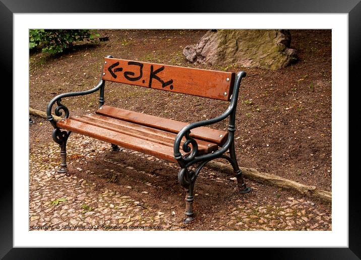 Graffiti on a park bench Framed Mounted Print by Sally Wallis