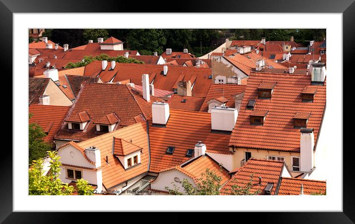 Roofs of houses in Prague Framed Mounted Print by Sally Wallis