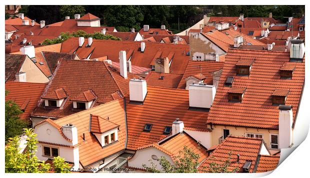 Roofs of houses in Prague Print by Sally Wallis