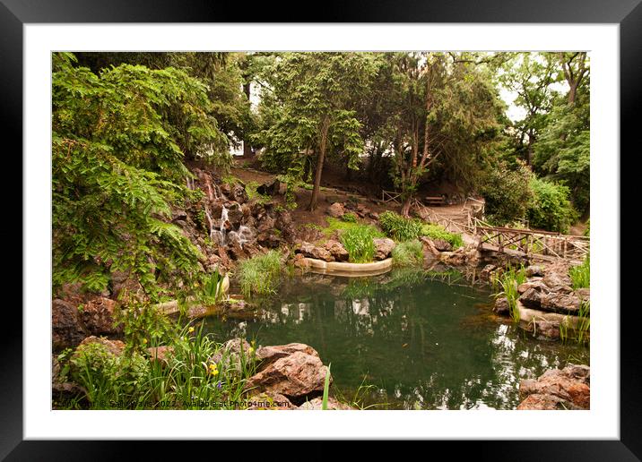 Small Pond in Municpal park Framed Mounted Print by Sally Wallis