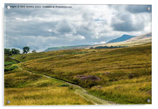 The Nab on Wild Boar Fell Mallerstang Valley  Acrylic by Nick Jenkins