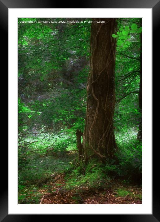 Mystic Forest Framed Mounted Print by Christine Lake