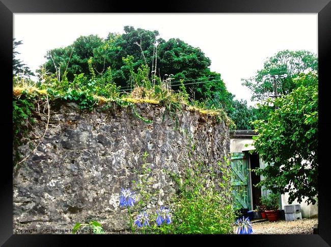 Garden wall and potting shed Framed Print by Stephanie Moore