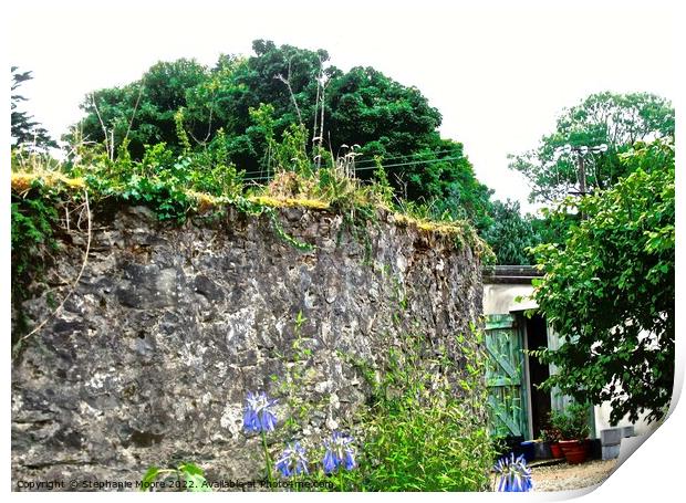 Garden wall and potting shed Print by Stephanie Moore