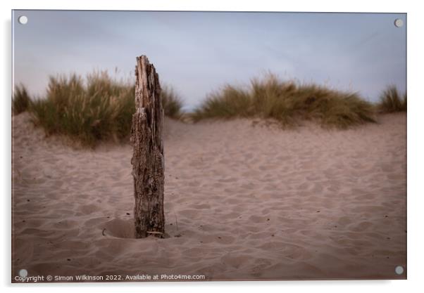 Driftwood Acrylic by Simon Wilkinson
