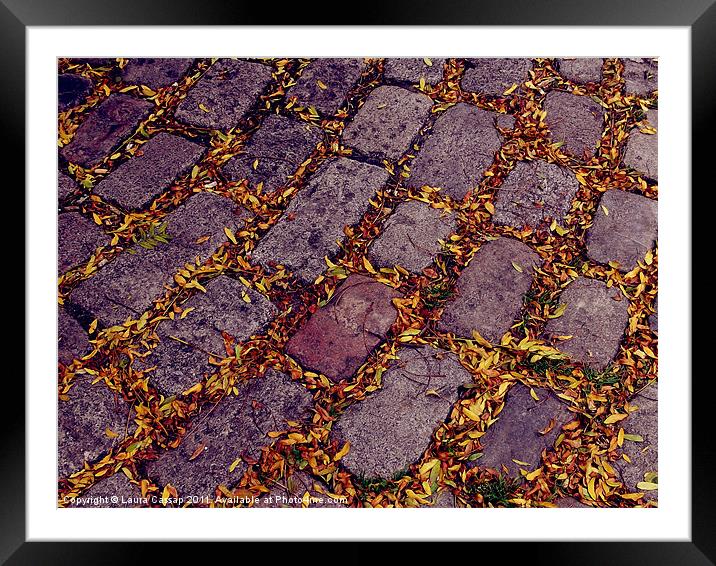 Autumn Street Framed Mounted Print by Laura Cassap