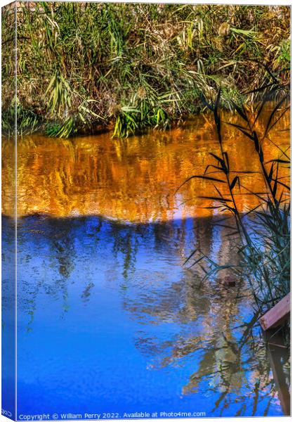 Jordan River Abstract Bethany Jordan Where Jesus Baptized Canvas Print by William Perry