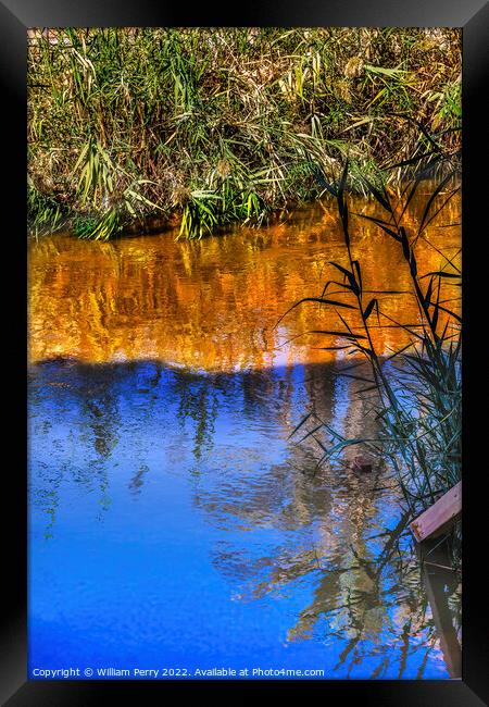 Jordan River Abstract Bethany Jordan Where Jesus Baptized Framed Print by William Perry