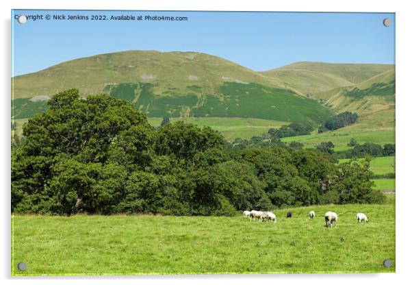 Winder in the Howgill Fells Cumbria Acrylic by Nick Jenkins
