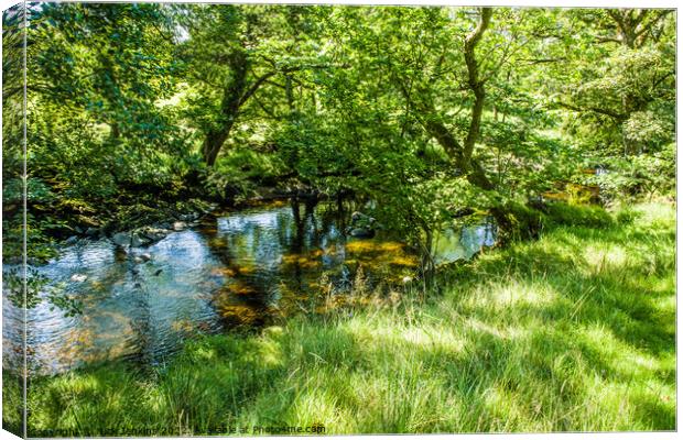 Clough River from Public Footpath near Sedbergh Canvas Print by Nick Jenkins