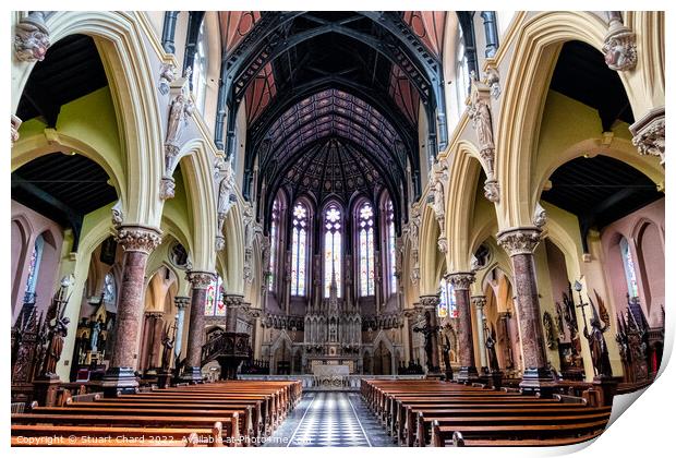 St Colman's Cathedral near Cobh, Ireland  Print by Travel and Pixels 