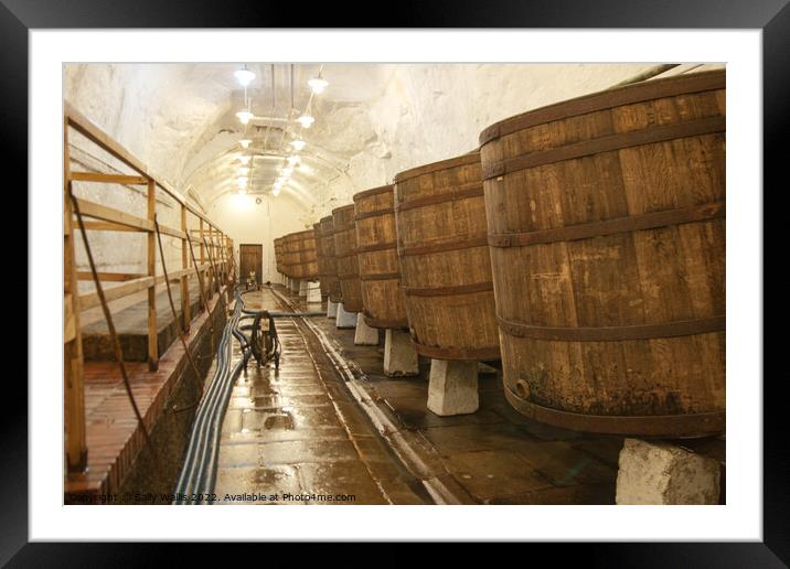 Barrels in Pilsen Brewery Framed Mounted Print by Sally Wallis