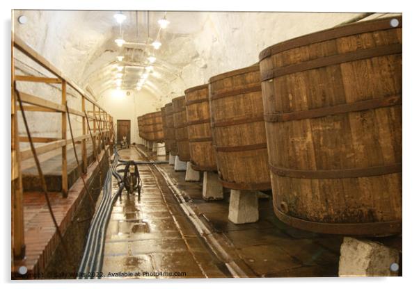 Barrels in Pilsen Brewery Acrylic by Sally Wallis