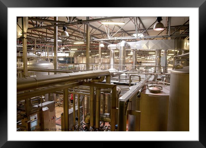 View across Pilsen Brewery packing area Framed Mounted Print by Sally Wallis